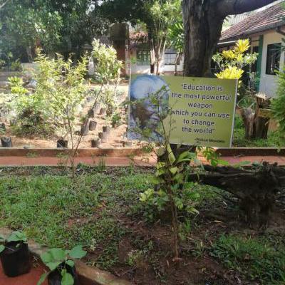 Whatsapp Image 2022 11 25 At 9.48.29 Am Y Thumb