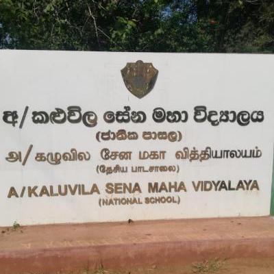 Whatsapp Image 2022 11 25 At 9.48.52 Am Y Thumb